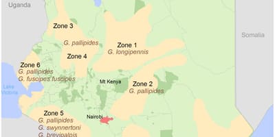 Kenia instituto de relevamiento y mapeo de la estructura de las tasas de